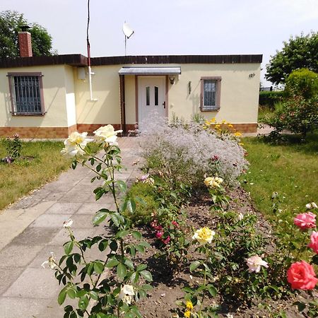 Ferienhaus Kaiserfelder Olbersdorf Kültér fotó